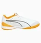 Футзалки мужские Puma Ibero Iv White 107418-04
