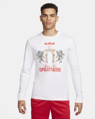 Лонгслив мужской Nike Lebron Long-Sleeve T-Shirt White FQ4908-100