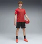 Футболка чоловіча Puma Individualfinal Jersey Red 660424-01