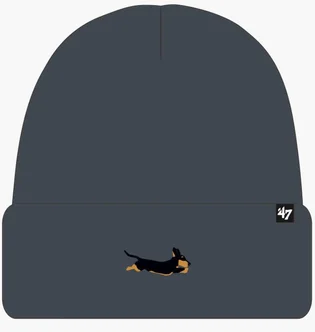 Шапка унисекс 47 Brand Dog Base Runner Grey BRNCK14ACE-CC