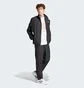 Спортивный костюм мужской Adidas Sportswear Colorblock Tracksuit Black IP1613