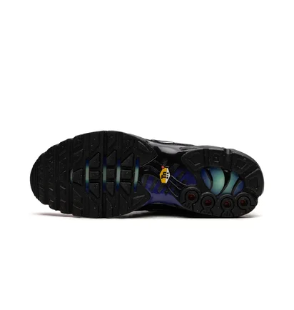 Кросівки чоловічі Nike Air Max Plus Black DZ4509-001