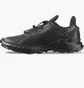 Кросівки жіночі Salomon Supercross 4 Black 417374