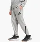 Штаны мужские Adidas Z.N.E. Pants Grey JF2446