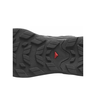 Кроссовки мужские Salomon Elixir Active Gtx Black 474561