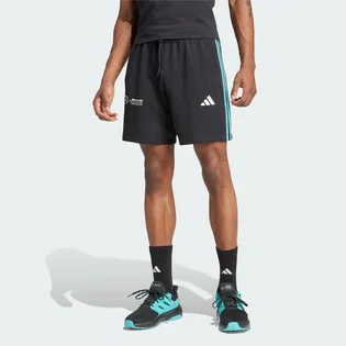Шорты мужские Adidas Mercedes - Amg Petronas Formula One Team Dna Black JV5429