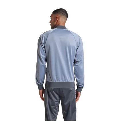 Олимпийка мужская Arena Relax Iv Teajacket Grey 002723-550