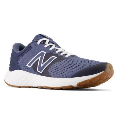 Кросівки чоловічі New Balance W520V7 Blue M520RN7
