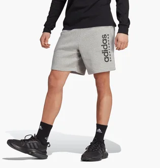 Шорты мужские Adidas All Szn Fleece Graphic Shorts Grey IC9796