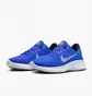 Кроссовки мужские Nike Flex Experience Run 11 Blue DD9284-402