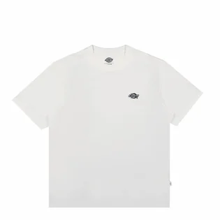 Футболка мужская Dickies Summerdale Ss Tee White DK0A4YAIWHX1