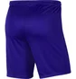 Шорты детские Nike Park Iii Bordo BV6865-677