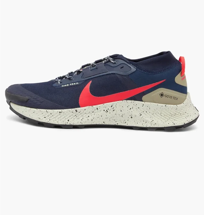 Кросівки чоловічі Nike Pegasus Trail 3 Gore-Tex Blue DC8793-401