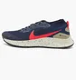 Кросівки чоловічі Nike Pegasus Trail 3 Gore-Tex Blue DC8793-401