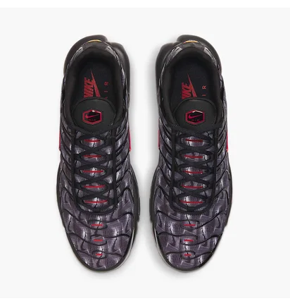 Кросівки чоловічі Nike Air Max Plus Grey/Black DJ0638-001