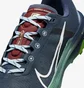Кросівки жіночі Nike Terra Kiger 9 Blue DR2694-403