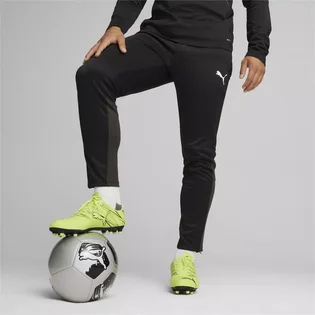 Штани чоловічі Puma Teamgoal Training Black 658639-03