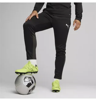 Штани чоловічі Puma Teamgoal Training Black 658639-03
