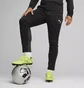 Штаны мужские Puma Teamgoal Training Black 658639-03