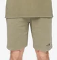 Шорты мужские The North Face Heritage Dye Pack Logowear Shorts Olive NF0A826M21L