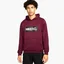 Худі чоловіче Nike F.C. Bordo Dc9075-638