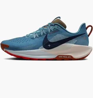 Кроссовки мужские Nike Pegasus Trail 5 Blue DV3864-402