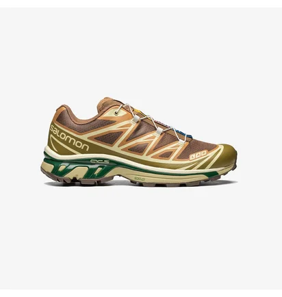 Кроссовки мужские Salomon Xt-6 Brown L47136100