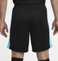 Шорты мужские Nike Dri-Fit Academy Black Dv9742-013