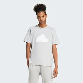 Футболка чоловіча Adidas Future Icons Badge Of Sport T-Shirt Grey IY4283
