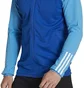 Олимпийка мужская Adidas Jacket Tiro23 C Tr Jkt Blue HU1305