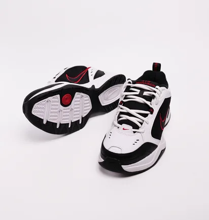 Кросівки чоловічі Nike Air Monarch Iv 415445-101