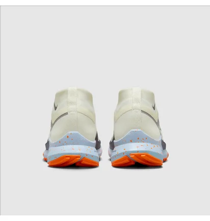 Кроссовки мужские Nike Pegasus Trail 4 Gore-Tex Beige DJ7926-004