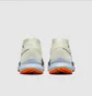 Кроссовки мужские Nike Pegasus Trail 4 Gore-Tex Beige DJ7926-004
