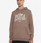 Худи мужское Puma Class Brown 684649-93
