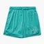 Шорти чоловічі Air Jordan Essentials Mesh Turquoise DH9048-392
