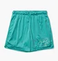 Шорти чоловічі Air Jordan Essentials Mesh Turquoise DH9048-392