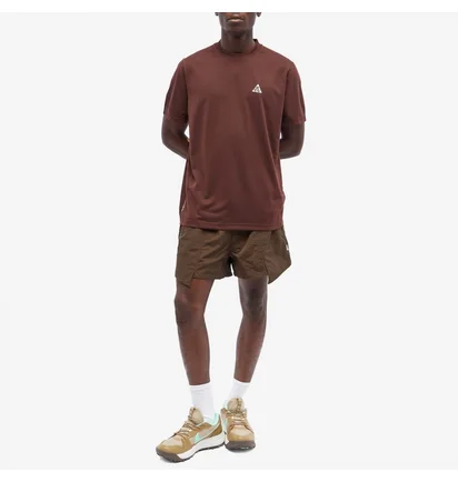 Футболка чоловіча Nike Acg Goat Rocks T-Shirt Brown DX7882-227