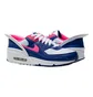 Кроссовки унисекс Nike Air Max 90 Flyease Multicolor CU0814-101