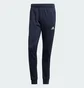 Спортивный костюм мужской Adidas Sportswear Blue IY6658