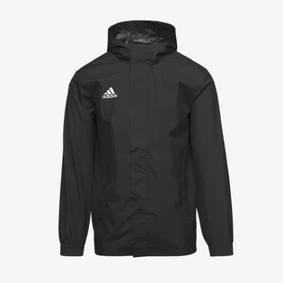 Куртка мужская Adidas Entrada 22 Aw Jacket Black HB0581