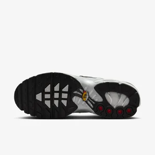 Кроссовки женские Nike Air Max Plus Grey FV8480-002