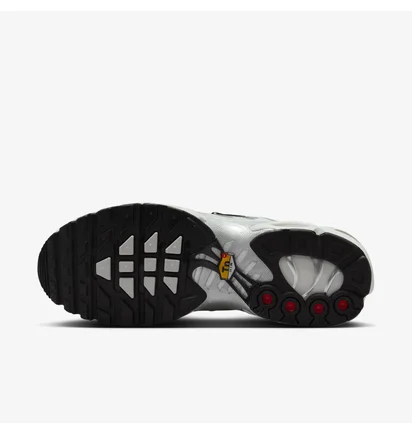 Кроссовки женские Nike Air Max Plus Grey FV8480-002
