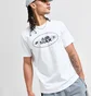 Футболка мужская Nike Air Max Ss White HQ4898-100