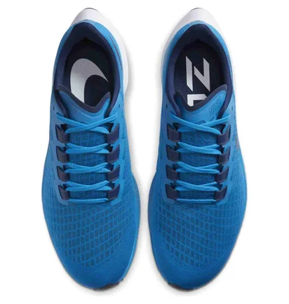 Кроссовки мужские Nike Air Zoom Pegasus 37 Blue BQ9646-400