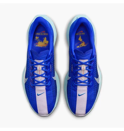 Кросівки чоловічі Nike Pegasus Plus Prm Blue HQ1719-400