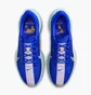 Кросівки чоловічі Nike Pegasus Plus Prm Blue HQ1719-400