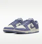 Кроссовки женские Nike Du Low Light Blue/Beige IB4417-103