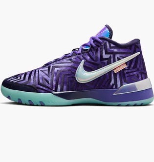 Кроссовки мужские Nike Lbj Nxxt Genisus Qs Violet IB1272-501