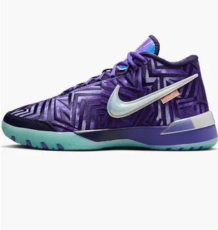 Кроссовки мужские Nike Lbj Nxxt Genisus Qs Violet IB1272-501