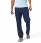 Штани чоловічі Reebok Training Essentials Woven Blue D94213